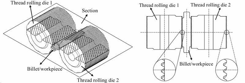 thread rolling process using two dies