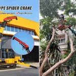 best-spider-lift-for-tree-work
