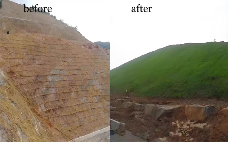 hydroseeding machine