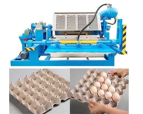 egg tray machine price